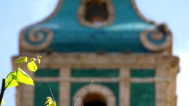 Odak transfer: Valldemossa Charterhouse (Valldemossa Carthusian Manastırı) olan bir eski Carthusian Manastırı'Valldemossa, Majorca, İspanya. Charterhouse bir kraliyet ikametgahı olarak kuruldu.