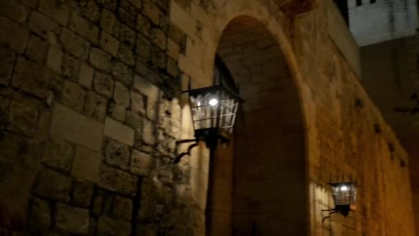 Cattedrale di Santa Maria di Palma, più comunemente indicato come La Seu, è una cattedrale gotica cattolica romana situata a Palma, Maiorca, Spagna, costruita sul sito di una moschea araba preesistente . — Video Stock