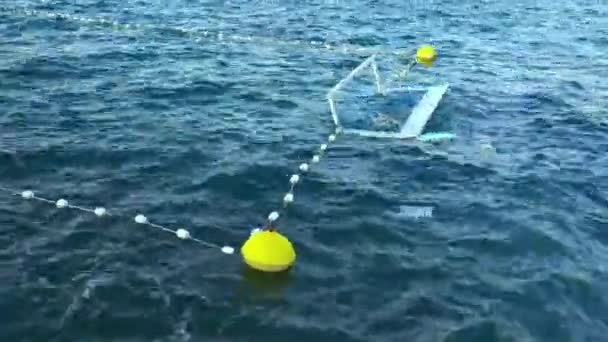 Waterpolo Golf met een poort en hek op het water van de Adriatische Zee in Zadar, Kroatië. — Stockvideo