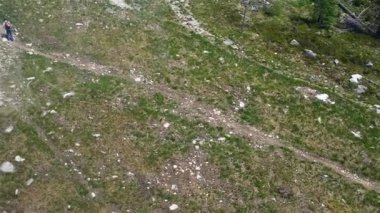 Bozkır otları ve düşük genç ağaçları ile Üstten Görünüm.