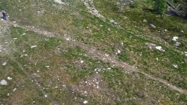 Vista dall'alto della steppa con erba e alberi giovani bassi . — Video Stock