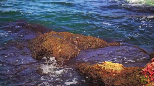 Slow Motion: Golven op de rotsen aan de Bulgaarse Zwarte Zee kust in de buurt van Sozopol. — Stockvideo