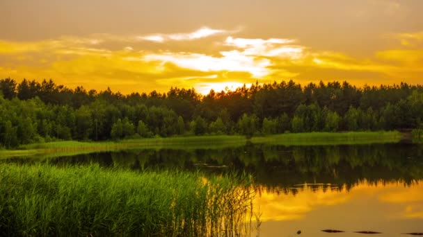 Timelapse: begin van de avond op mooie zomerse lake. — Stockvideo