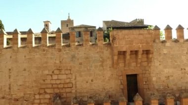 Genellikle La Seu adlandırılan katedral Della Palma, daha fazla olduğunu önceden varolan bir Arap Camii sitede inşa Palma, Majorca, İspanya, içinde bulunan Gotik Roman Katolik Katedrali.