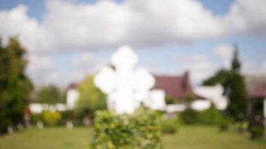 Begonya çok yıllık bitkiler Begoniaceae ailesindeki cinsidir. Cins 1,795 farklı bitki türü içerir. Begonias nemli astropikal ve tropikal iklimlerde yerli vardır.