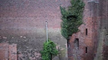 Malbork Cermen sırayla yüzey alanı tarafından dünyanın en büyük Kalesi kalesidir. Bir Ordensburg kale şeklinde Töton Şövalyeleri tarafından Marienburg, Prusya içinde inşa edilmiş.