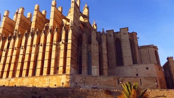 Собор Санта-Мария-де-Пальма, более известный как Ла-Сеу, является готическим католическим собором, расположенным в Пальме, Мальорка, Испания, построенный на месте уже существующей арабской мечети . — стоковое видео