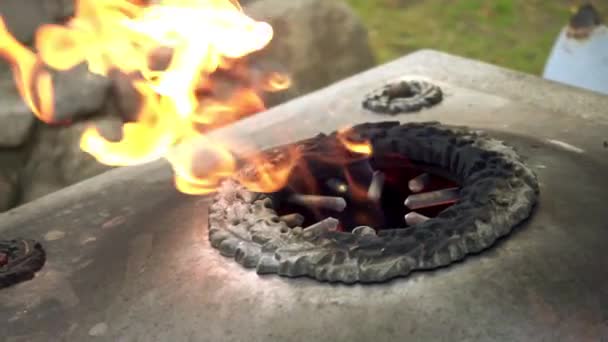 Monument till dem som dog för frihet och outsläckliga lågan i Kaunas, Litauen. — Stockvideo