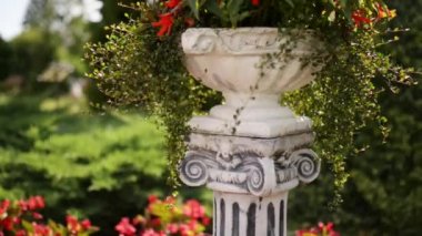 Begonya çok yıllık bitkiler Begoniaceae ailesindeki cinsidir. Cins 1,795 farklı bitki türü içerir. Begonias nemli astropikal ve tropikal iklimlerde yerli vardır.