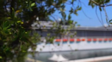 Nerium oleander bir yaprak dökmeyen çalı veya küçük ağaç dogbane aile Apocynaceae, onun her yerinde zehirli olduğunu. Sadece şu anda cins Nerium gizli tür olduğunu.
