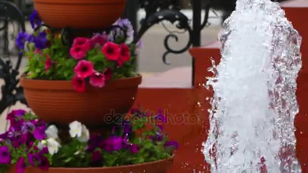 Lilla vackra fontän och lera vas med blommor i gården av liten innergård. — Stockvideo