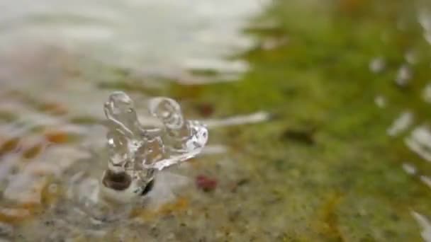 Slow Motion: Fontana da bere sulla sorgente del fiume Mosca, Federazione Russa . — Video Stock