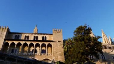 Genellikle La Seu adlandırılan katedral Della Palma, daha fazla olduğunu önceden varolan bir Arap Camii sitede inşa Palma, Majorca, İspanya, içinde bulunan Gotik Roman Katolik Katedrali.
