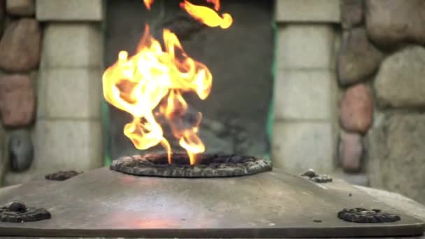 자유와 quenchless 불꽃 카우나스, 리투아니아에 대 한 죽은 그들에 기념물. — 비디오