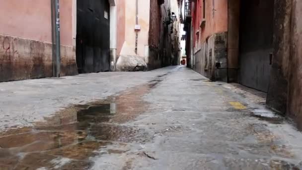 Antigua calle de Palma. Palma es la capital y la ciudad más grande de la isla de Mallorca de la comunidad autónoma de Baleares en España . — Vídeos de Stock