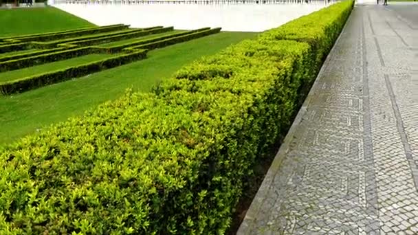 爱德华七世公园是一个公共公园在葡萄牙里斯本举行。公园占地面积 26 公顷到北門 da Liberdade 和彭巴侯爵广场侯爵在城市中心. — 图库视频影像