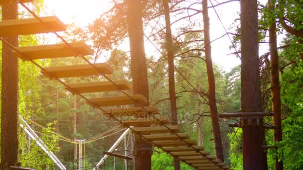 Parque de aventura orientado para o recreio é lugar que pode conter grande variedade — Vídeo de Stock