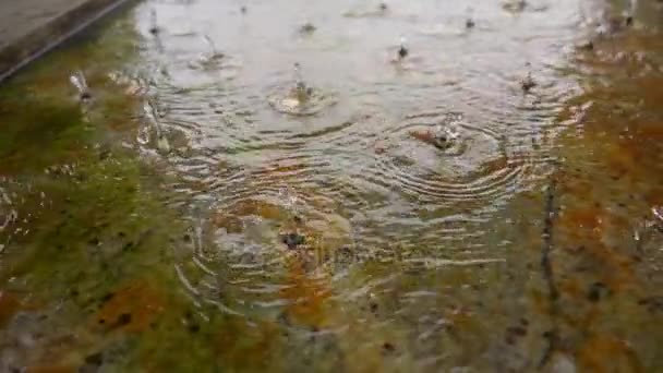 Slow Motion: Drinkfontein op bron van de rivier de Moskou, Russische Federatie. — Stockvideo