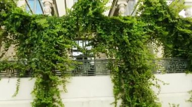 Eski Kütüphanesi'nde Bebelplatz 1 Berlin'in Mitte bölgesinde, Berlin Devlet Operası'nın karşısında bir binadır. İki bina kütüphane ve palais şimdi hukuk, Humboldt Üniversitesi Fakültesi merkezi bulunmaktadır.