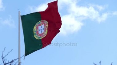 Portekiz (Bandeira de Portekiz) bayrağı Portekiz Cumhuriyeti bayrağı var. Bir dikdörtgen olduğunu bir alanla çift renkli düzensiz vinç üzerinde yeşil ve kırmızı anında bölünmüş.