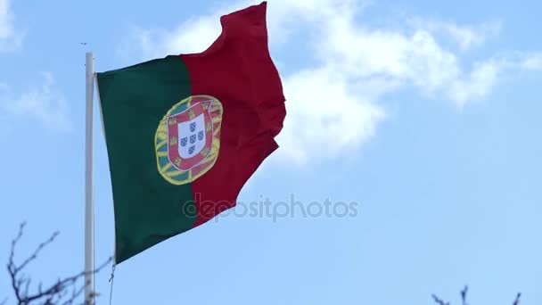 Bandera de Portugal (Bandeira de Portugal) es la bandera de la República Portuguesa. Es un bicolor rectangular con un campo desigualmente dividido en verde sobre el polipasto, y rojo sobre la marcha . — Vídeo de stock