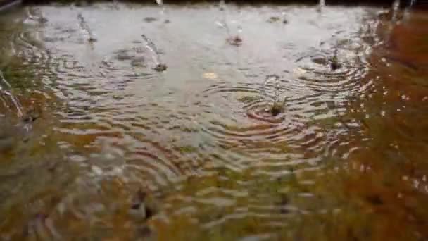 Slow Motion: Drinkfontein op bron van de rivier de Moskou, Russische Federatie. — Stockvideo