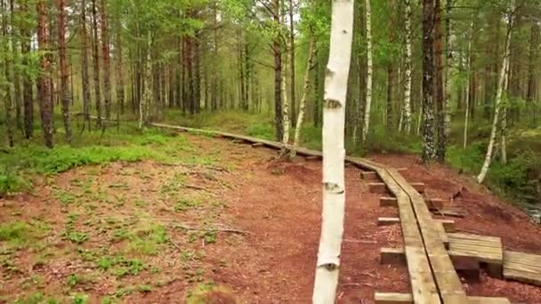 Панорама болото поля в Viru Raba Лахемаа, Естонії. — стокове відео