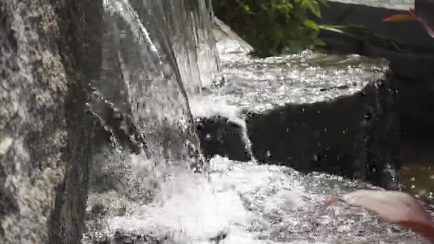 Pequena cachoeira entre penhascos de pedra na área cênica . — Vídeo de Stock