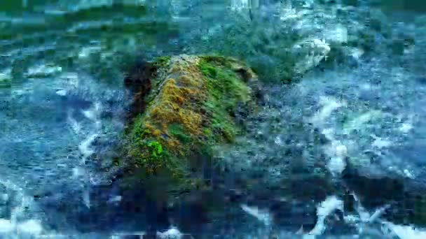 Волны, разбивающиеся о скалы на болгарском побережье Черного моря под Созополем . — стоковое видео