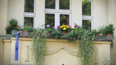 Güzel cephe ile eski evi. Sokak Meistersingerstrasse Potsdam, Almanya. Potsdam Brandenburg, Nehri Havel üzerinde Alman federal devleti olduğunu.