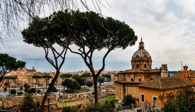 Santi Luca e Martina bir kilise Roma, İtalya.