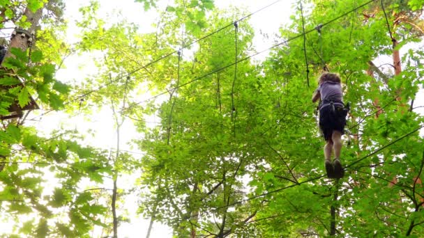 Petite fille dans le parc d'aventure. Parc d'aventure est un endroit qui peut contenir une grande variété d'éléments, tels que des exercices d'escalade de corde, parcours d'obstacles et tyroliennes. Ils sont destinés aux loisirs . — Video