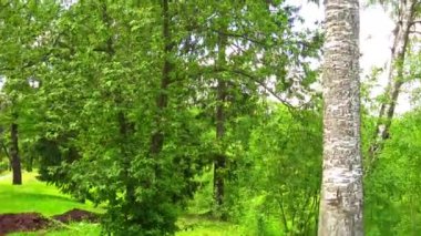 Trinity Lavra St Sergius en önemli Rus Manastırı ve Rus Ortodoks Kilisesi'nin ruhani merkezi olduğunu. Manastır şehri, Sergiyev Posad içinde Rusya Federasyonu yer almaktadır.