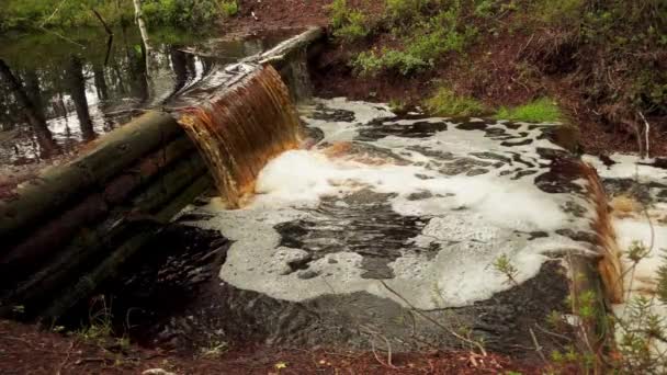 Movimento lento: riacho com pequena cachoeira do campo do pântano em Viru Raba em Lahemaa, Estónia . — Vídeo de Stock