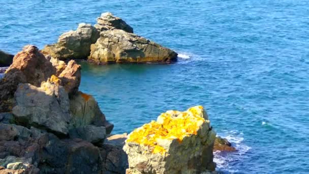 Vagues se brisant sur les rochers de la côte bulgare de la mer Noire près de Sozopol . — Video