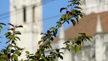 Odak transfer: Jeronimos Monastery veya Hieronymites Manastırı, değil bir manastır Aziz Jerome sipariş bulunan Belem, bucak kıyıya yakın yerde bulunan Lizbon Belediyesi, Portekiz.