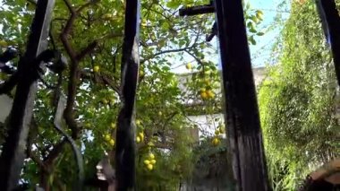 Saray girişine ev Trillo Figueroa (XVIII. yüzyıl) üzerinde iptal La Palma sokak Cordoba, Endülüs, İspanya.