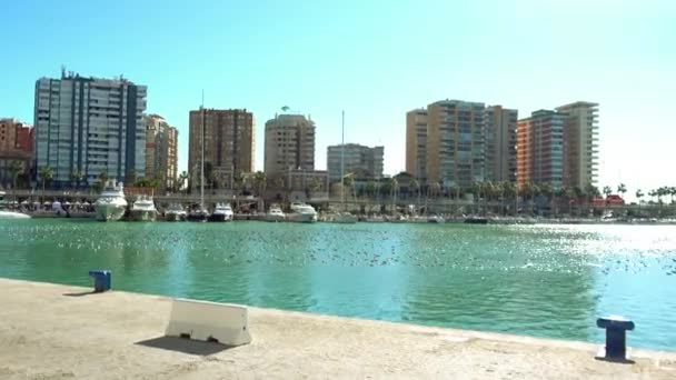 Embankment a Malaga. Malaga è un comune spagnolo di 1.048 abitanti situato nella comunità autonoma dell'Andalusia. Città più meridionale d'Europa, si trova sulla Costa del Sol del Mediterraneo . — Video Stock