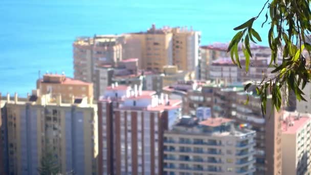 Panorama La Malagueta, a kikötő és a központi része Malaga. Malaga község közösségi Andalúzia, Spanyolország. Európa legdélibb nagy város, fekszik a Costa del Sol mediterrán. — Stock videók