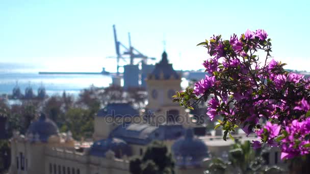 Enfoque de traslado: Ayuntamiento de Málaga. Málaga es un municipio de la Comunidad de Andalucía, España. La ciudad más grande del sur de Europa, se encuentra en la Costa del Sol del Mediterráneo . — Vídeo de stock
