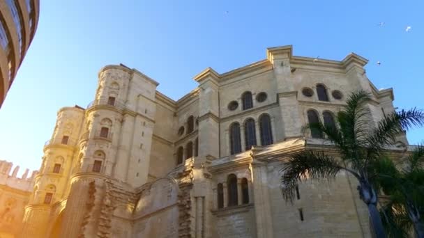 Katedralen i Malaga är romersk-katolska kyrkan i staden Malaga i Andalusien i södra Spanien. Det är i renässansens arkitektoniska traditionen. Det ligger inom gränserna medeltida moriska murar. — Stockvideo