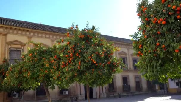 Byggnader på Plaza Vizconde de Miranda i Cordoba, Andalusien, Spanien — Stockvideo