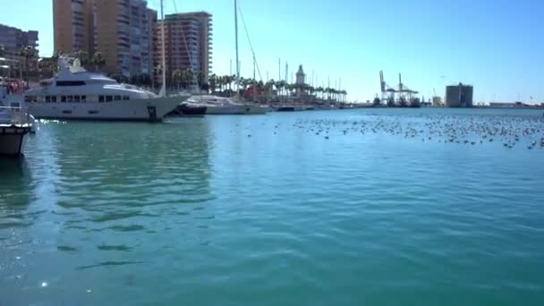 Hafen in Malaga. Malaga ist eine Gemeinde in der autonomen Region Andalusien, Spanien. südlichste Großstadt Europas, sie liegt an der Costa del Sol des Mittelmeeres. — Stockvideo