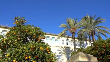 Kilise, Nuestra Senora del Carmen şehir Cordoba, İspanya, bucak rütbesiyle ve 19 yüzyılda disentailed Carmen Calzado de Cordoba convent parçasıydı Katolik tapınaktır.