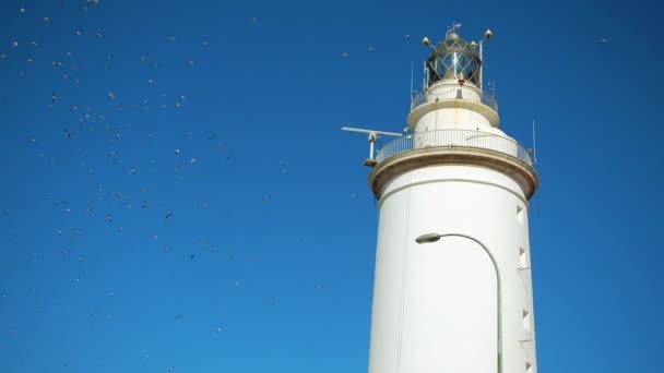 Белоснежный маяк в Малаге на набережной. Малага - муниципалитет в испанском городе Андалусия. Самый южный крупный город Европы, он расположен на Коста-дель-Соль Средиземноморья . — стоковое видео