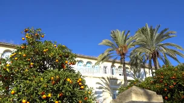 Kyrkan av Nuestra Señora del Carmen i staden i Cordoba, Spanien, är katolska tempel som har rang av socken och ingick i klostret av Carmen Calzado de Cordoba, som var disentailed i 19-talet. — Stockvideo