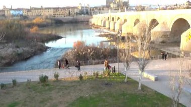 Cordoba Roma köprüsü küçük korunmuş alan Sotos de la Albolafia, Cordoba, Andalusia, Güney İspanya, erken 1. yüzyılda inşa edilmiş Guadalquivir Nehri olarak bilinen tarihi merkezinde köprüdür.