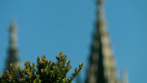 Přenést fokus: je Jerónimos Monastery nebo Hieronymites klášter, klášter řádu svatého Jeronýma nachází nedaleko břehu farnosti Belem, v obci Lisabon, Portugalsko. — Stock video