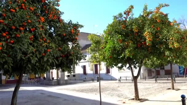 Gebouwen op Plaza Vizconde de Miranda in Cordoba, Andalusië, Spanje — Stockvideo