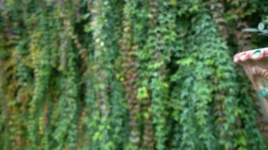 Sevilla, İspanya, daimi ikamet Medinaceli Dukes, Rönesans İtalyan ve Mudéjar stilleri, prototip Endülüs Sarayı'nın Endülüs sarayda La Casa de Pilatos (Pilate ev) olduğunu.